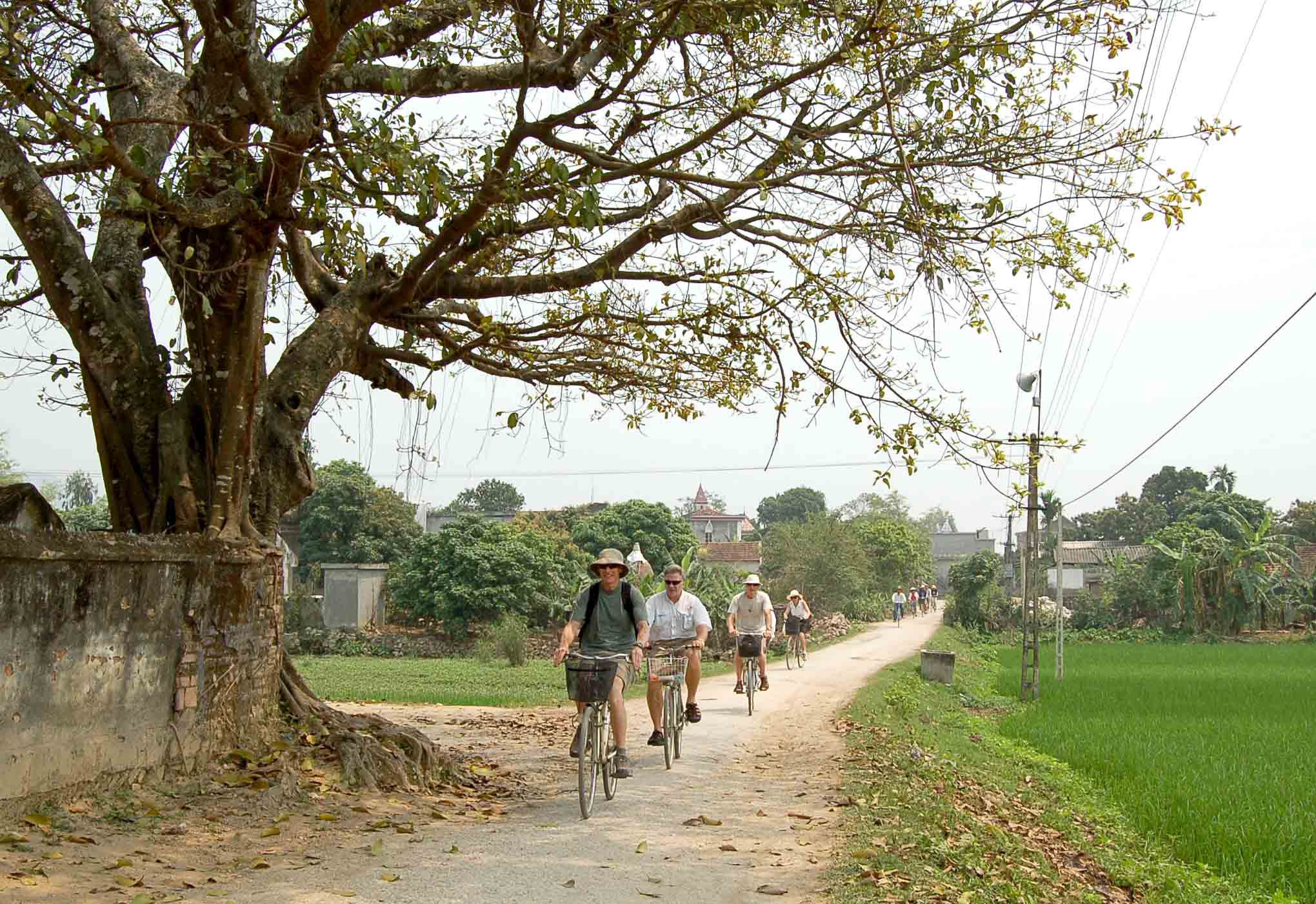 VISIT THE COUNTRYSIDE OF VAN LONG (01 DAY)